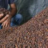 Cloves