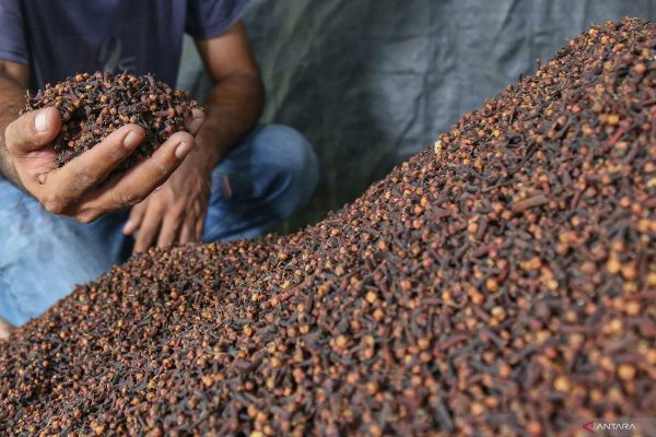 Cloves