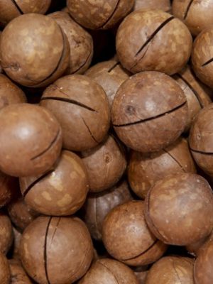 Betel Nuts
