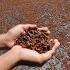 Cloves