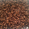 clove Cloves