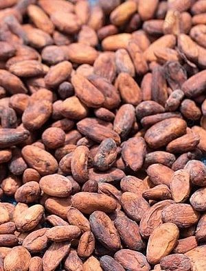 Cocoa Beans