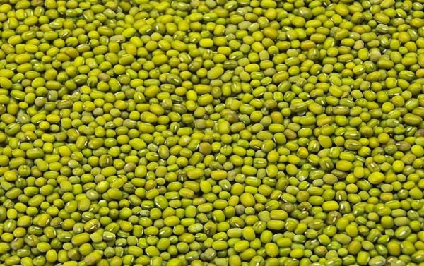 ijo1 Mung Beans