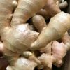 jah1 Fresh Ginger