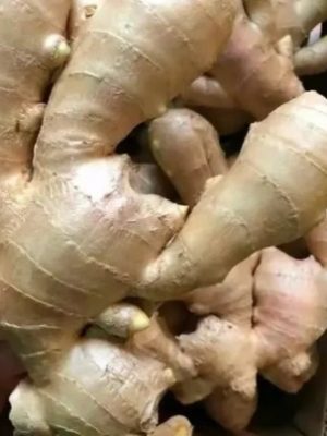 Fresh Ginger