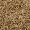 Cumin Seeds
