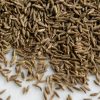Cumin Seeds