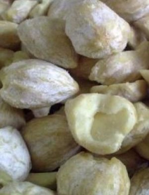 Candlenut