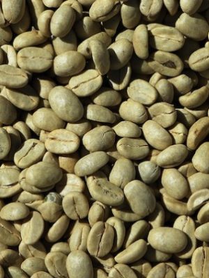 Arabica Green Coffee Beans