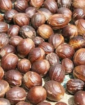 Nutmeg