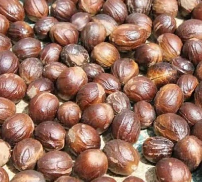 pal1 Nutmeg