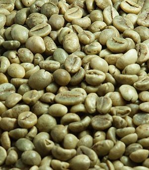 Robusta Coffee Beans