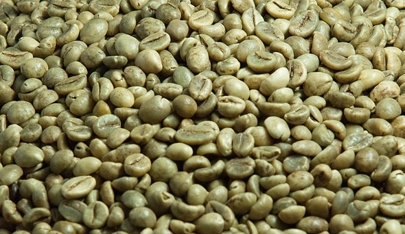rob Robusta Coffee Beans