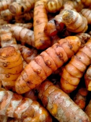 Fresh Turmeric