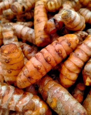 tum1 Fresh Turmeric